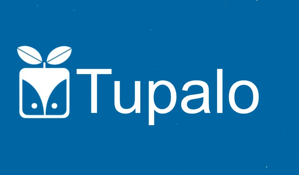 Tupalo SEO Strategy Boost Your Local Visibility